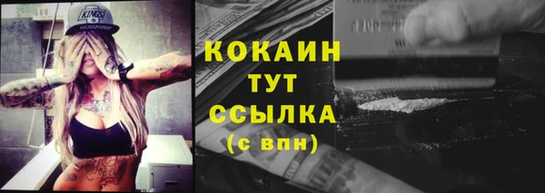 гидра Вязники