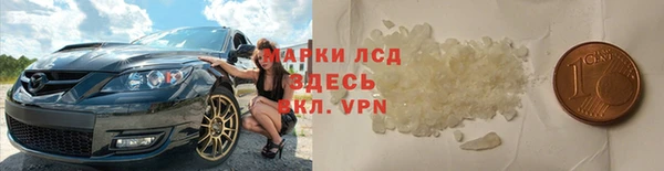 гидра Вязники