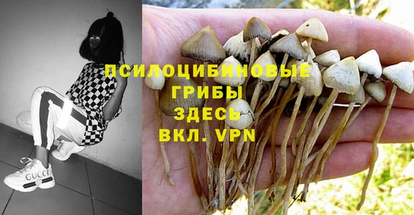 Альфа ПВП Вяземский