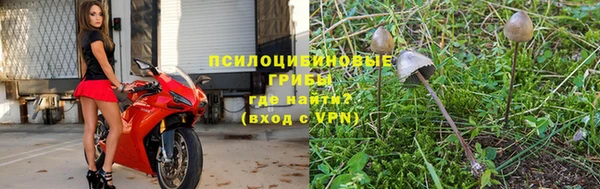 гидра Вязники