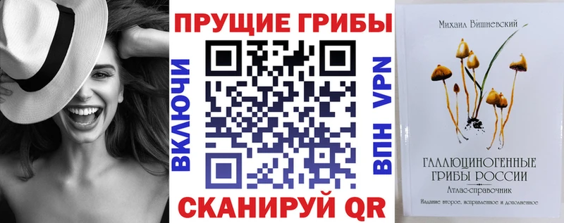 Псилоцибиновые грибы мицелий Кузнецк