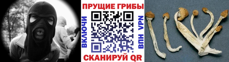 Галлюциногенные грибы MAGIC MUSHROOMS Купить где Кузнецк